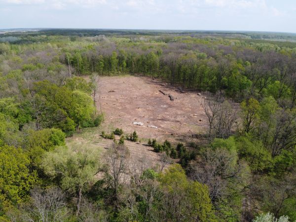Appleton Land Clearing